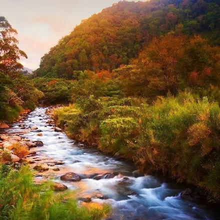 青山绿水，风景如画（一场意外，一段奇遇）