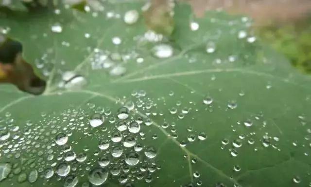 雨中故事（一段浪漫与刻骨铭心的回忆）