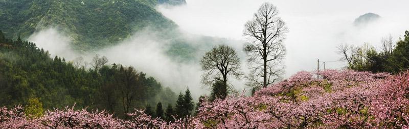 桃花源之奇遇（一场穿越之旅）