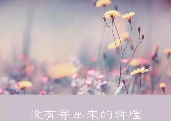 坚持努力，追寻自己的路（一位音乐家的故事）