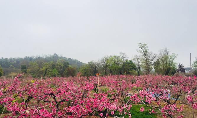 桃花源里的美好生活（一座天堂般的世外桃源）