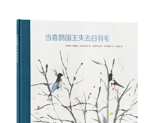 从懦弱到勇敢，一个男孩的成长故事（从懦弱到勇敢，一个男孩的成长故事）