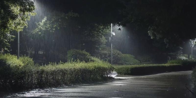 留得残荷听雨声（一个人，一个夜晚，一段故事）