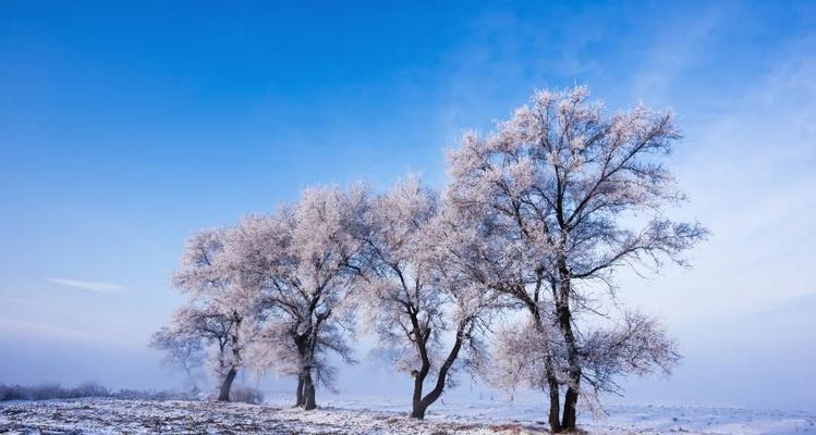 春日里的冬天（阳光照耀下的雪景）