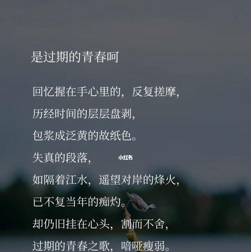 翱翔青春（追逐梦想，感受自由）