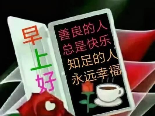 亲情是一种信仰（守护家人的故事）