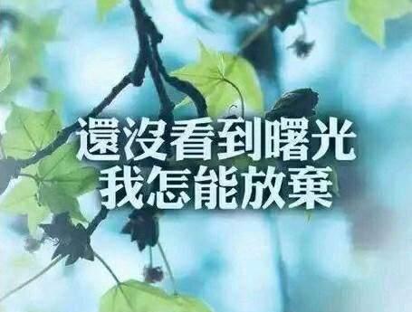 懂得成功的滋味（成功背后的努力与坚持）