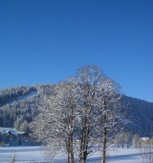 冬日里的幸福（白雪皑皑，温暖如初）