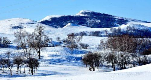 冬雪初降：一场雪，一场梦