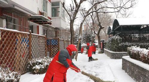 初雪扫除记——记述一段扫雪的经历