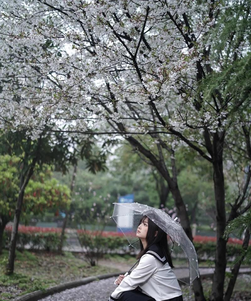 雨中的温馨故事（一场雨，一份爱，一段感动）