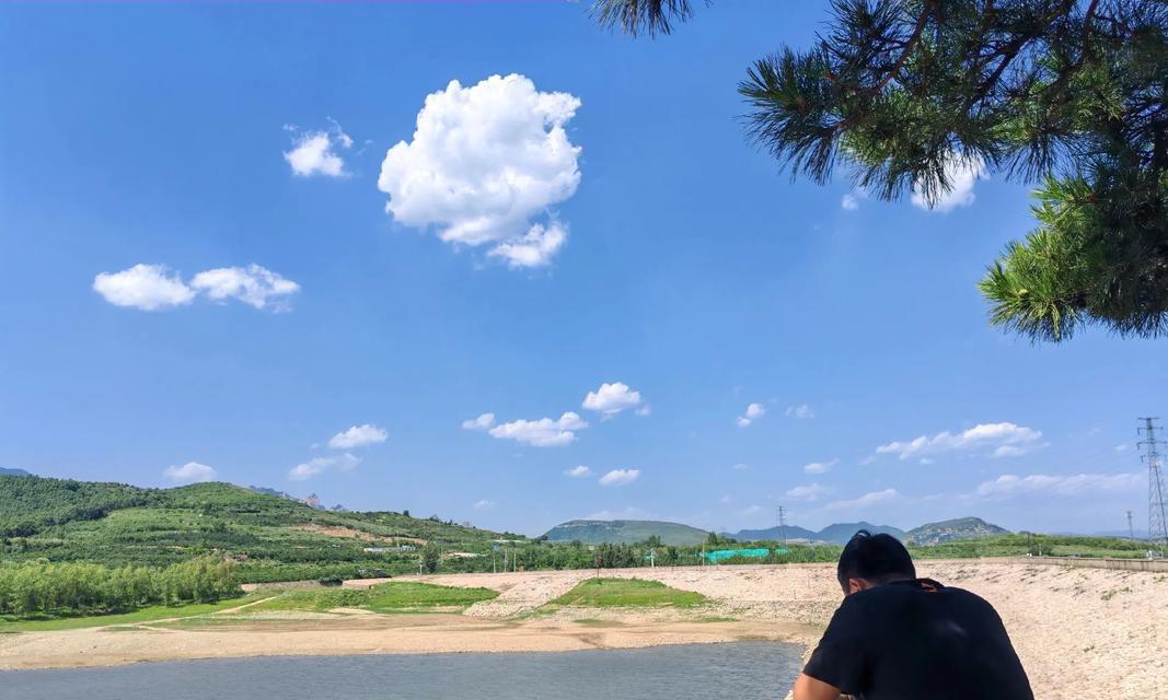 大自然的朋友（以人类为友）