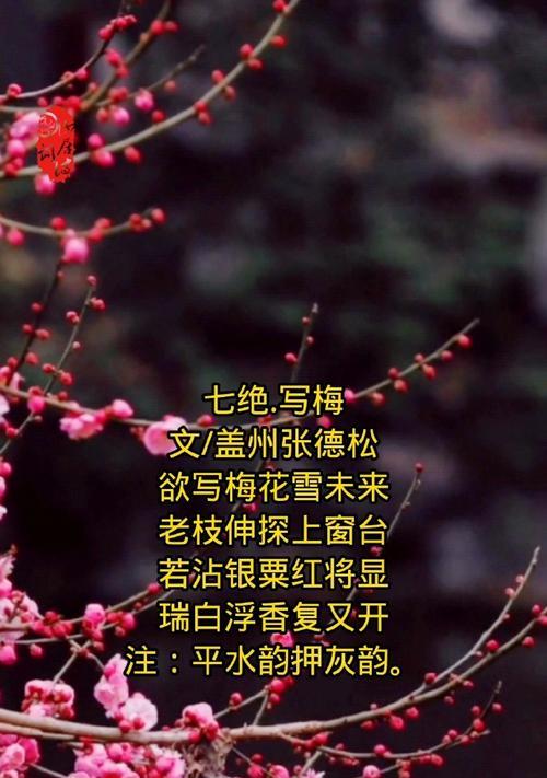 梅花映雪（一次偶遇，一场穿越）