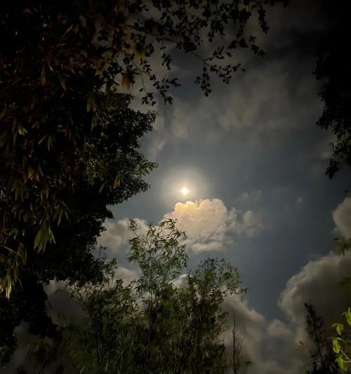祝福的魔力（一个医生的爱与祝福）