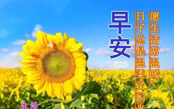 心灵之充盈（走进心灵深处，感受生命的美好）