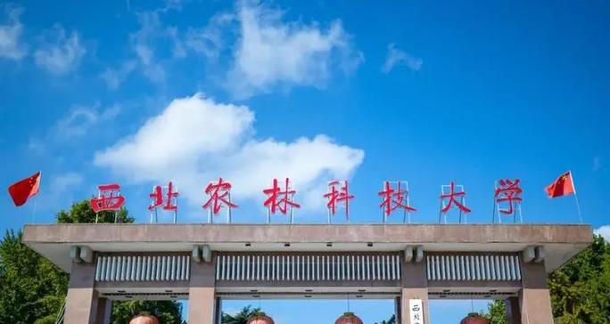 陪伴不离，送上真挚的祝福（陪伴不离，送上真挚的祝福）