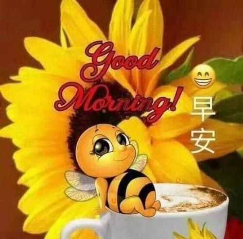 阳光友情（一束阳光照亮心间）