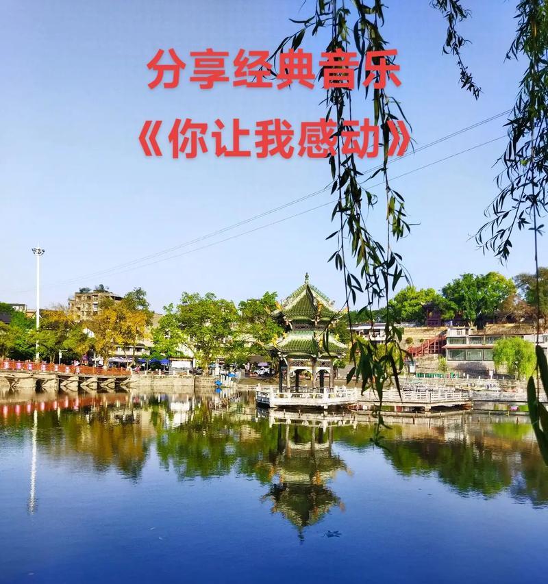 “陌生人的帮助”（一个感人至深的故事）