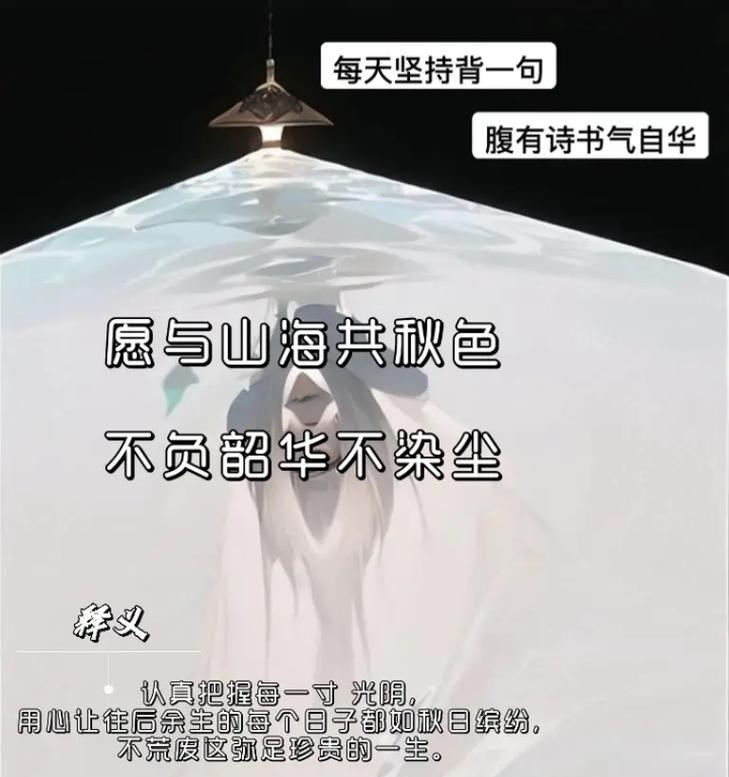 青春的诠释（年轻人的成长之路）