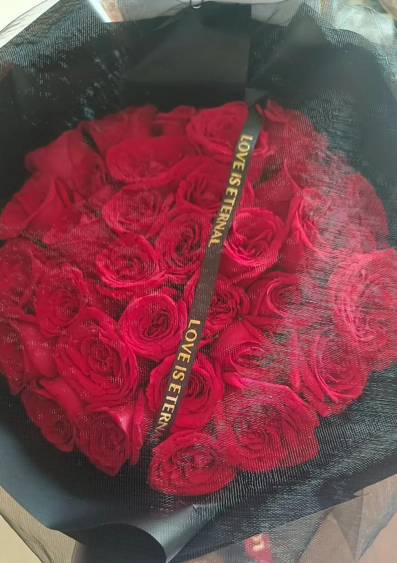 开心的圣诞节：一个家庭的欢乐