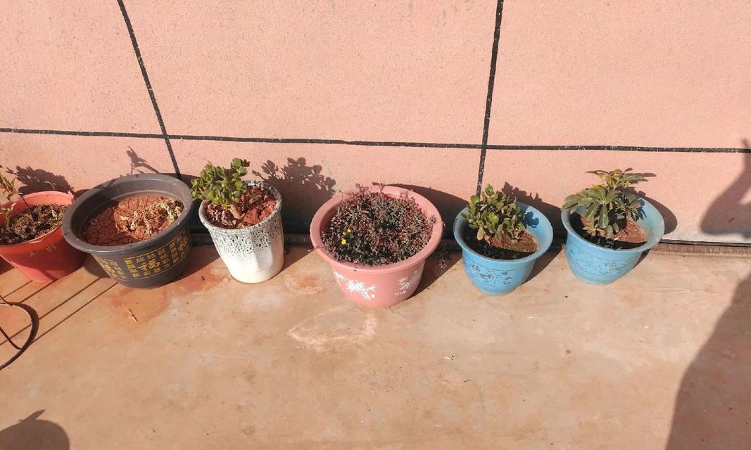 万物生长的季节（——一个关于成长的小故事）