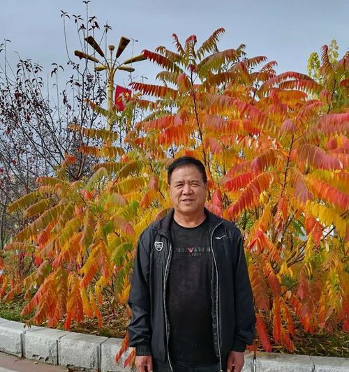 珍藏时光（岁月不老，记忆常新）