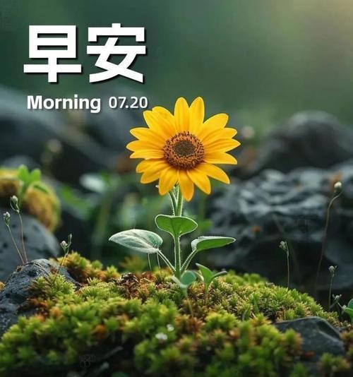 载满欢笑的旅程（幸福是我们共同拥有的财富）