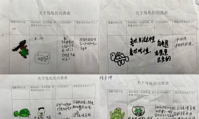 与我一同成长的小生命（与我一同成长的小生命）