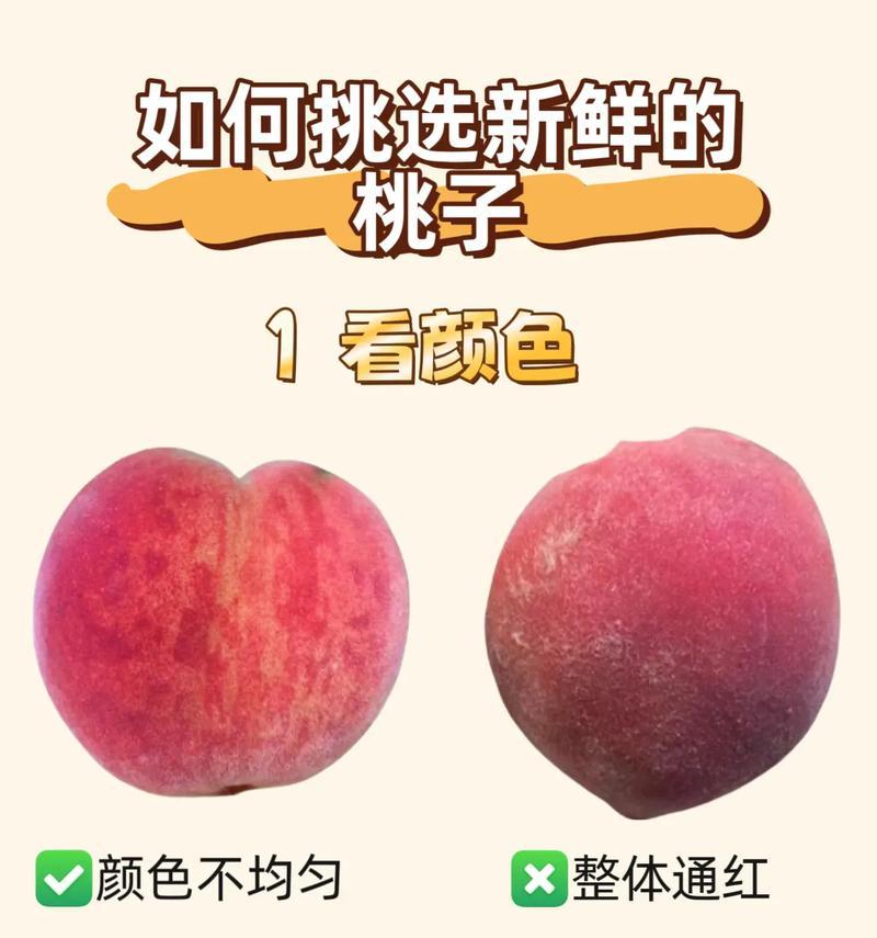 爱在时光里回味（岁月不老，我依旧爱你）