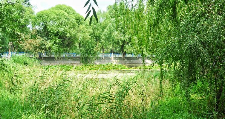 回忆起那些曾经的日子，我的眼泪不禁流了下来。我从未忘记过这首歌曲，它在我的心中永远不会消失。