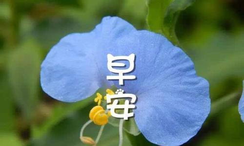 一个教育者的故事（一个教育者的故事）