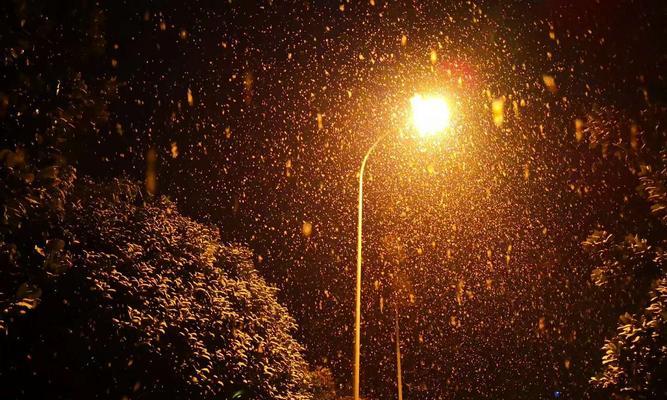 温暖的雪（冬日里的希望）