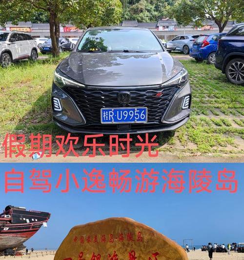 快乐时光：大学生活的美好回忆