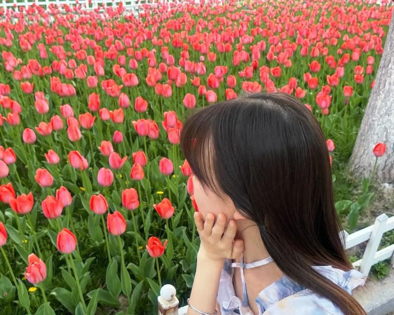 五颜六色的春天（一个小镇的春天）