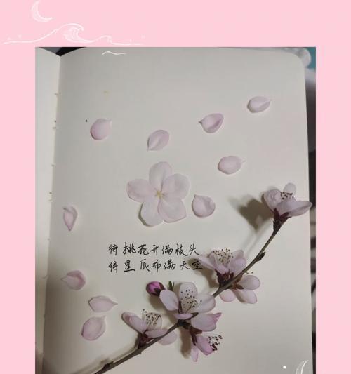 春天的印记