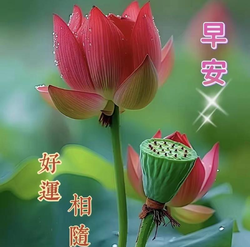 坚守初心，谱写人生（一位跑者的故事）