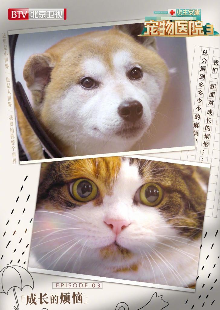 烦恼的温暖（一个女孩的成长之路）