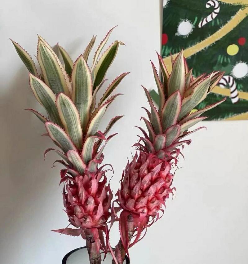 生气勃勃的春天：爱与希望的季节