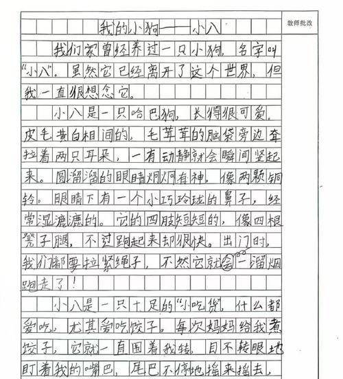用善良和努力成就自己（用善良和努力成就自己）