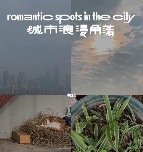 美好清晨|唤醒沉睡的生命|醒来