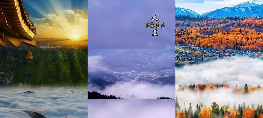爱拼才会出美（一个普通人的不凡之路）