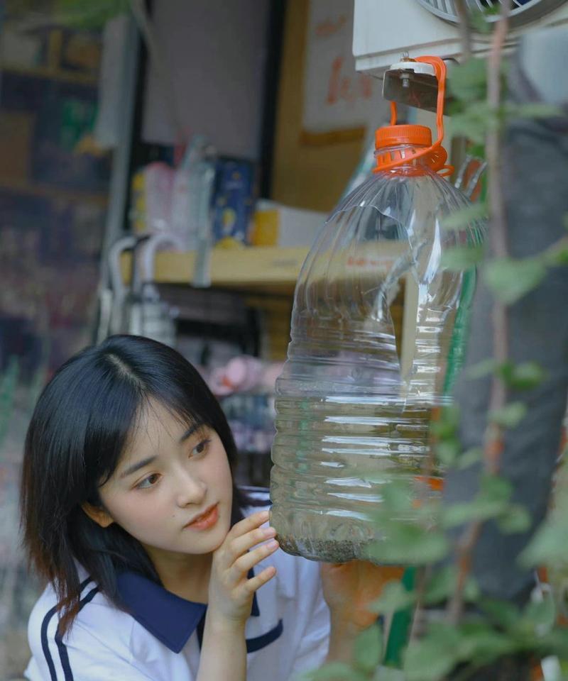 青春闪耀的光芒（与梦想同行，共同成长）