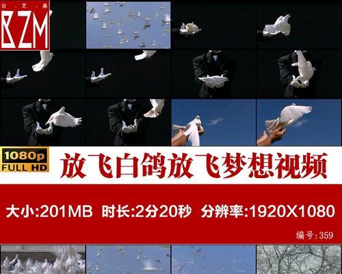 “翅膀让我自由飞翔”（“翅膀让我自由飞翔”）