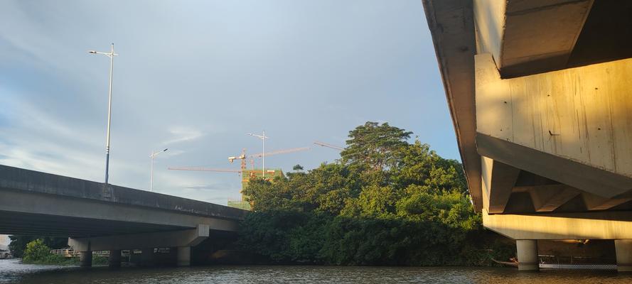 夕阳中的爱（生命之光）