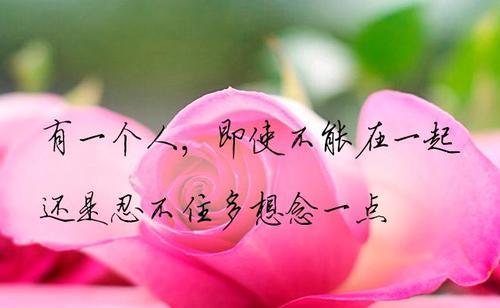 以爱与牵挂为主题的小故事