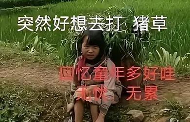 探险老林（童年无忧无虑）