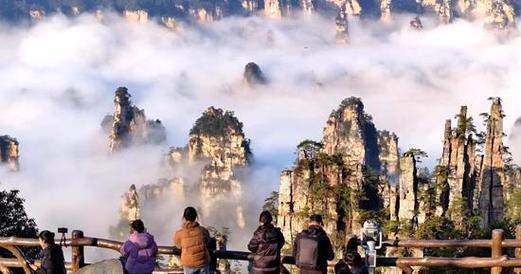 暖春之旅：追寻春天的足迹