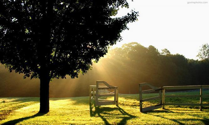 TheBeautyofNature（AJourneyThroughtheScenicWondersoftheWorld）