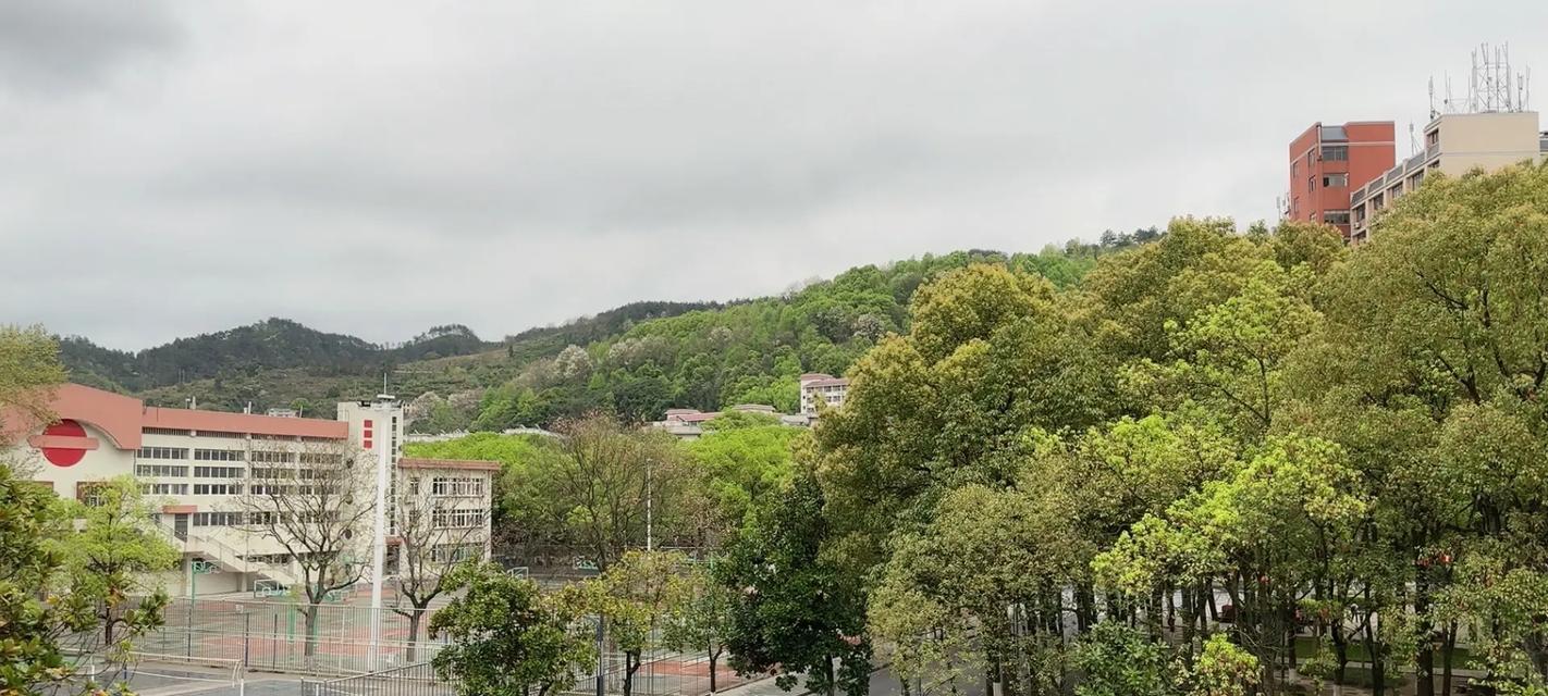 母校的温暖（一段回忆、一份情谊）
