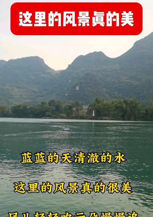 语文流利，表达清晰，想象力丰富。